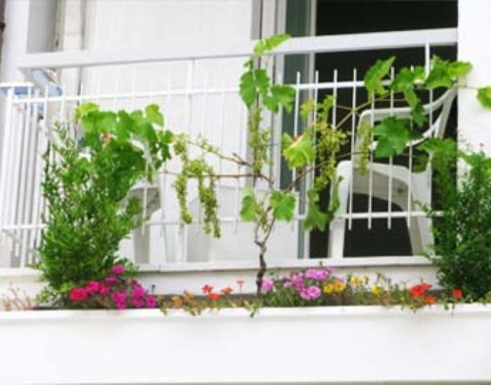 B&B Residence Sorriso Cattolica Eksteriør billede